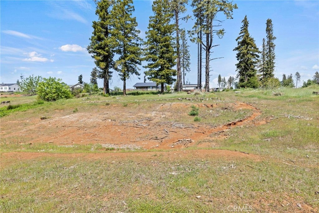 Photo of Listing #PA25086238