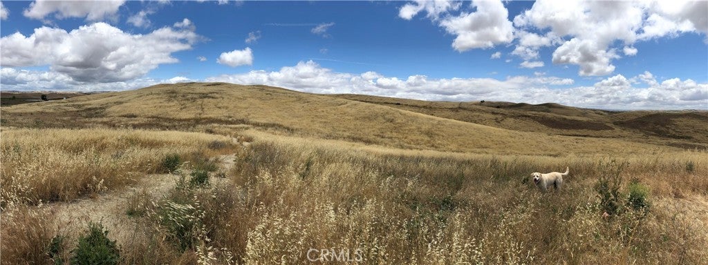 Photo of Listing #SC25096963