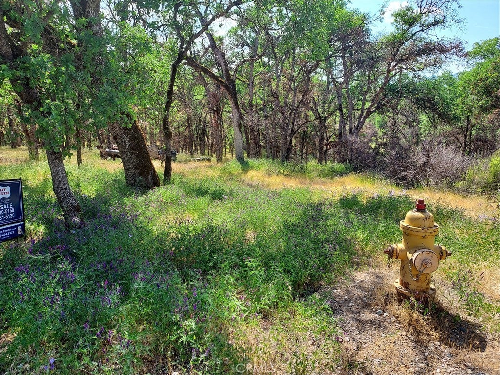 Photo of Listing #LC25096694