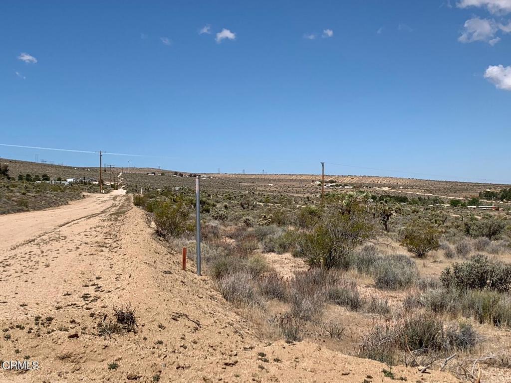 Photo of Listing #P1-22105