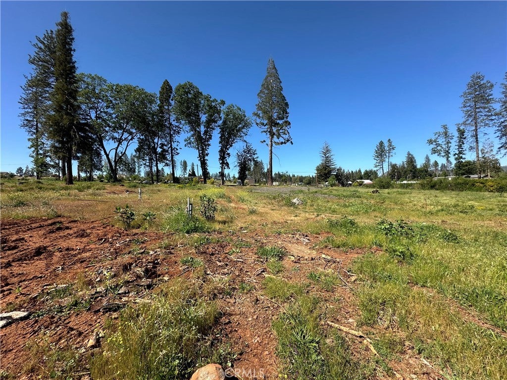 Photo of Listing #SN25102101