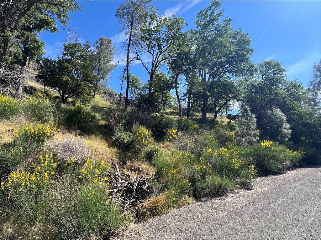 Photo of Listing #LC25102505