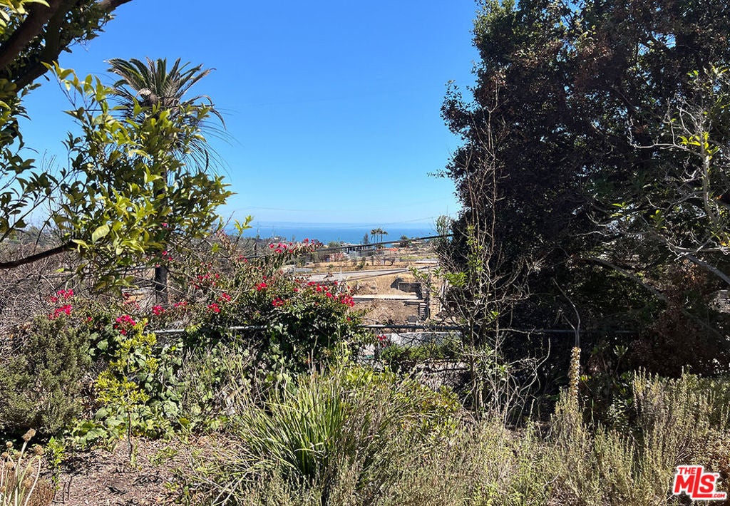 Photo of Listing #25537417