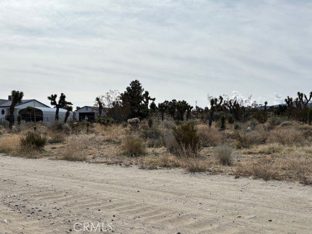 Photo of Listing #PW25109650