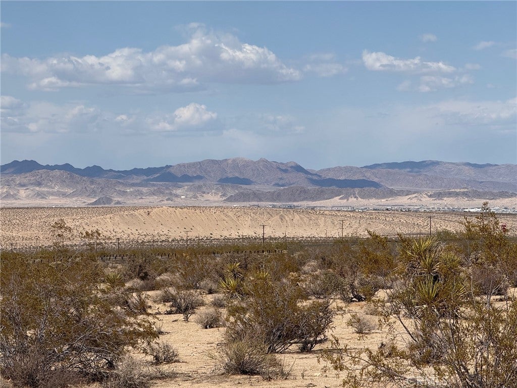 Photo of Listing #JT25110314