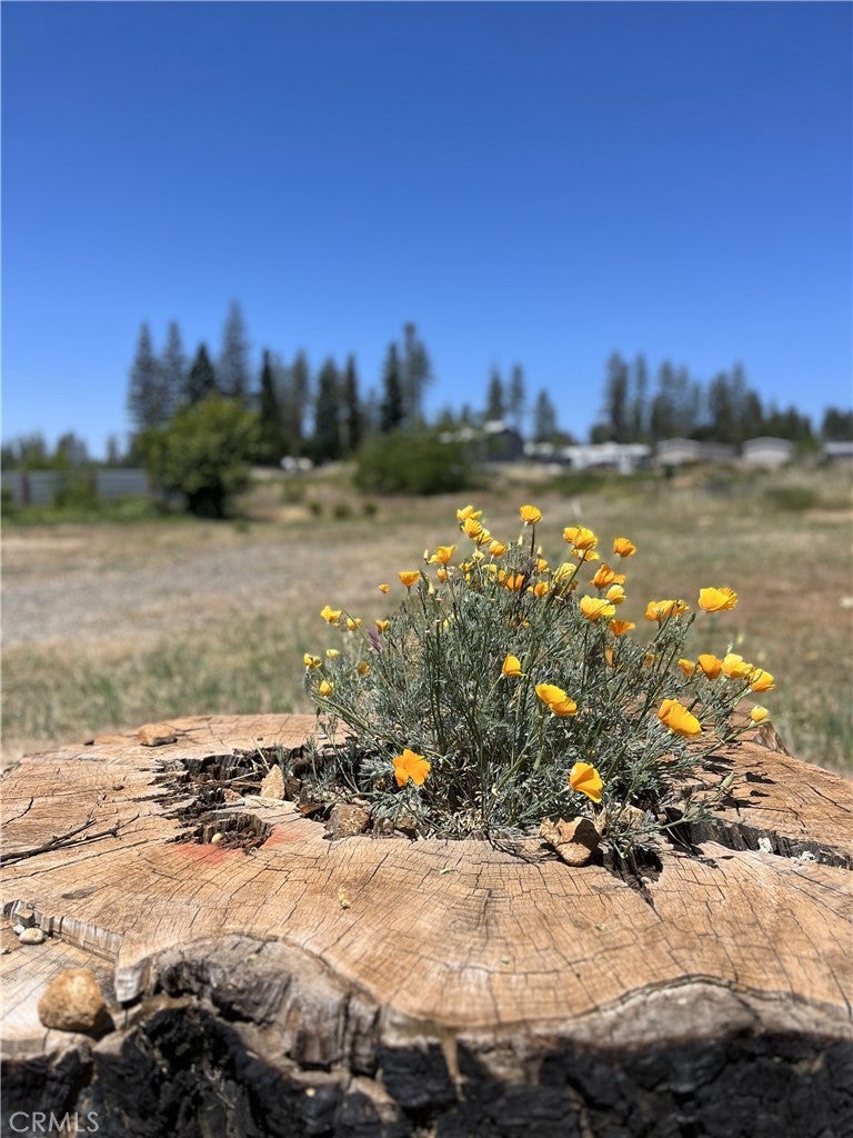 Photo of Listing #SN25112083