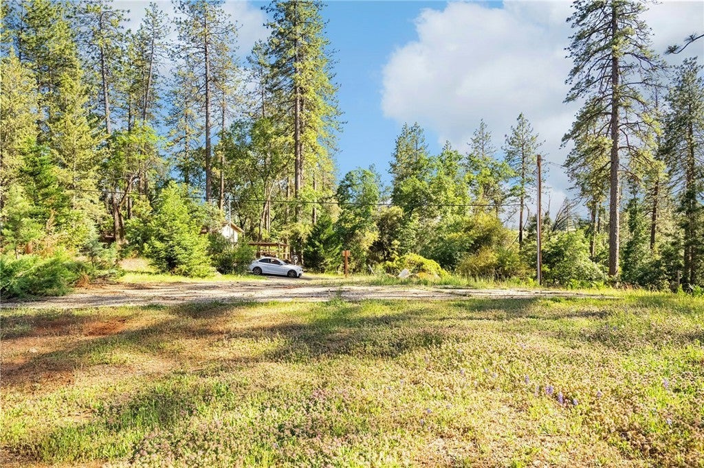 Photo of Listing #SN25113585