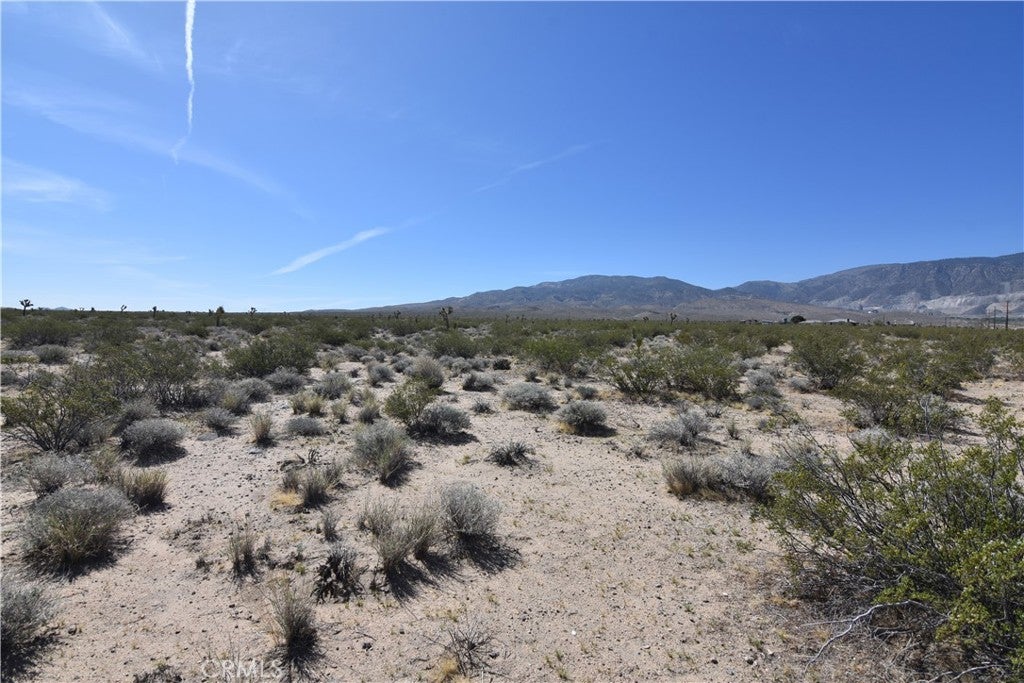 Photo of Listing #CV25114814