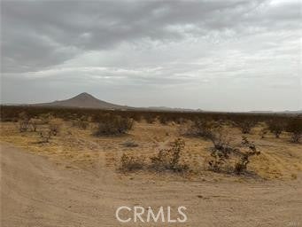 Photo of Listing #PW25118045