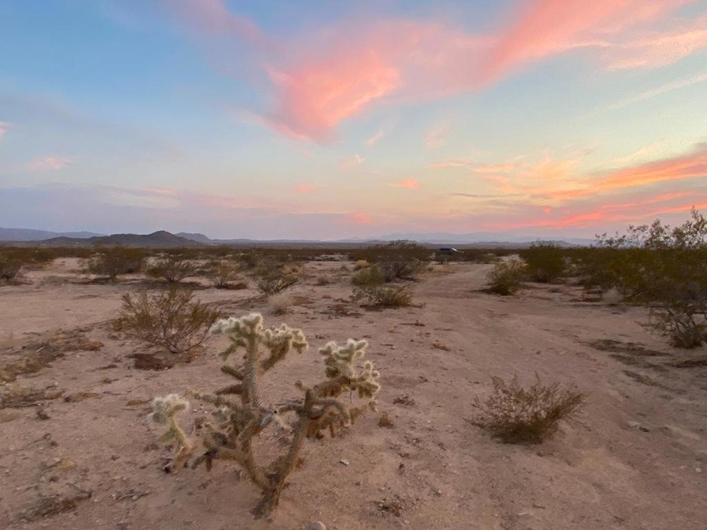 Photo of Listing #219130803DA