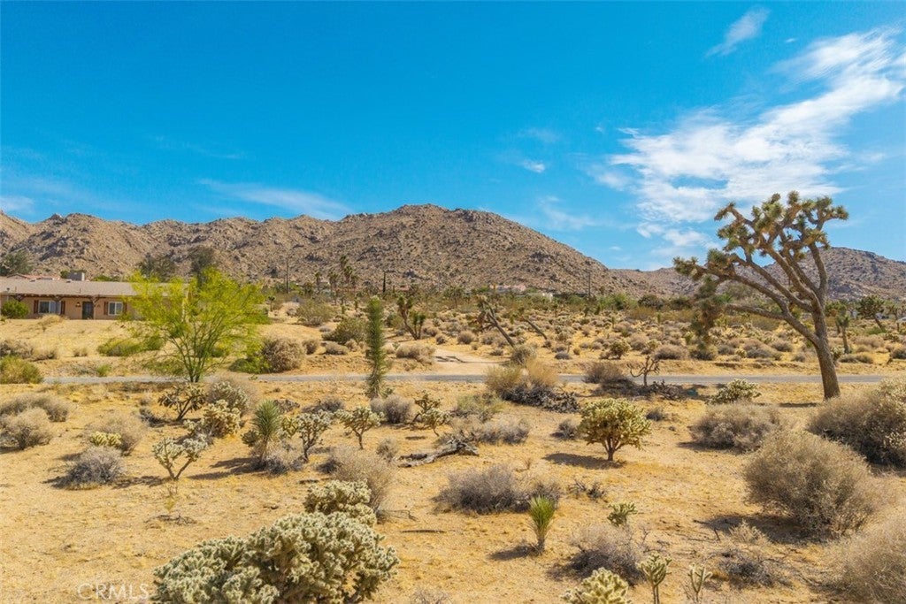 Photo of Listing #JT25120213