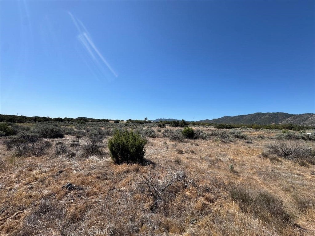 Photo of Listing #SW25124766