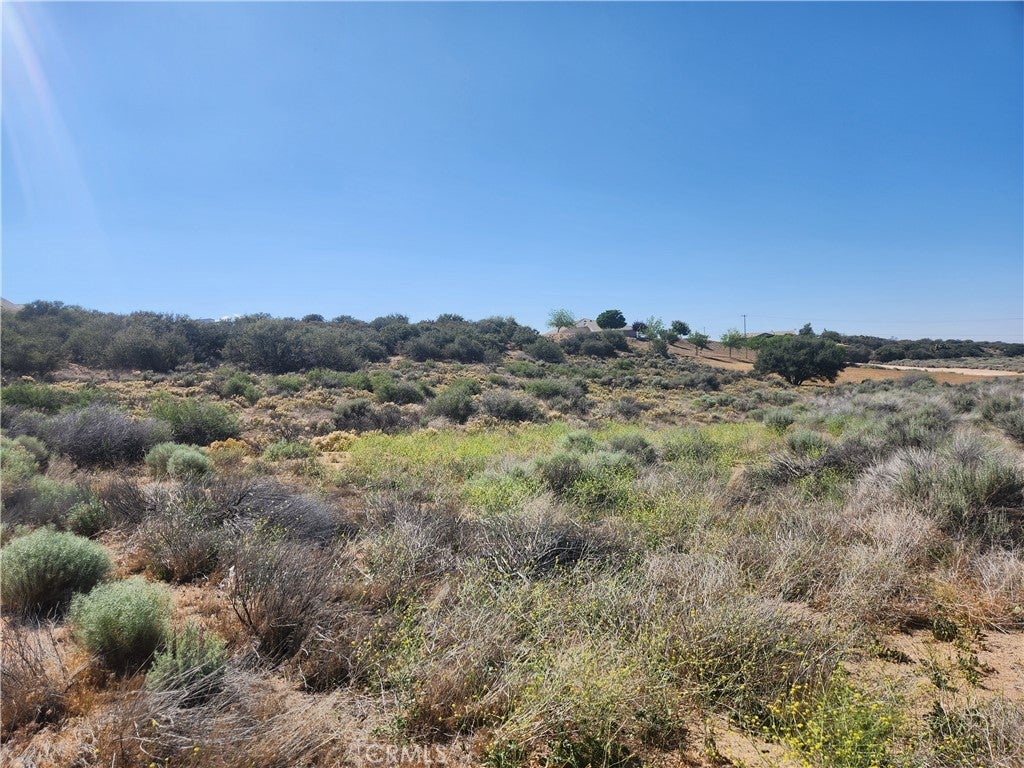 Photo of Listing #IV25124443