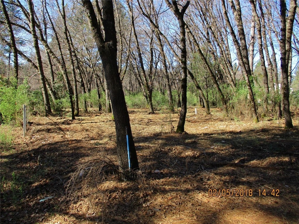 Photo of Listing #PA25127072