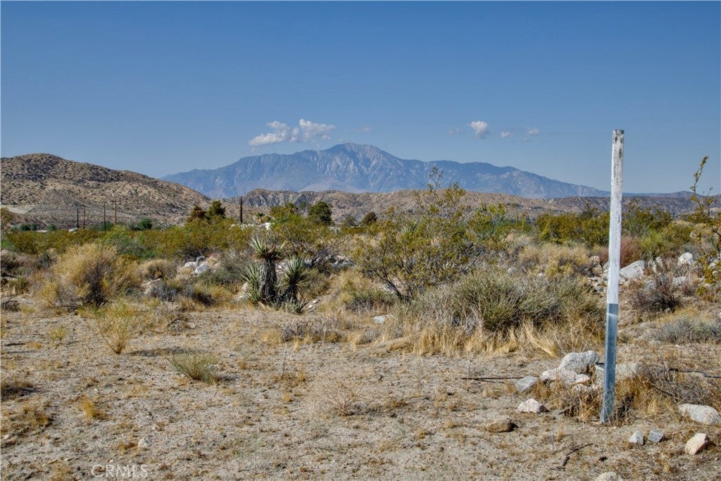 Photo of Listing #CV25127152