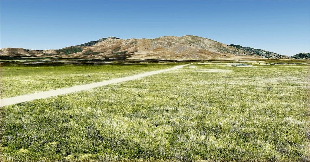 Photo of Listing #PI25130079