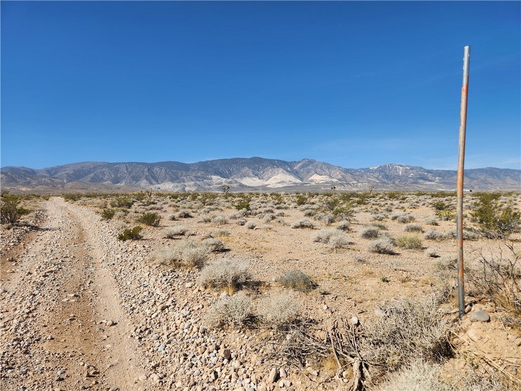 Photo of Listing #HD25107889