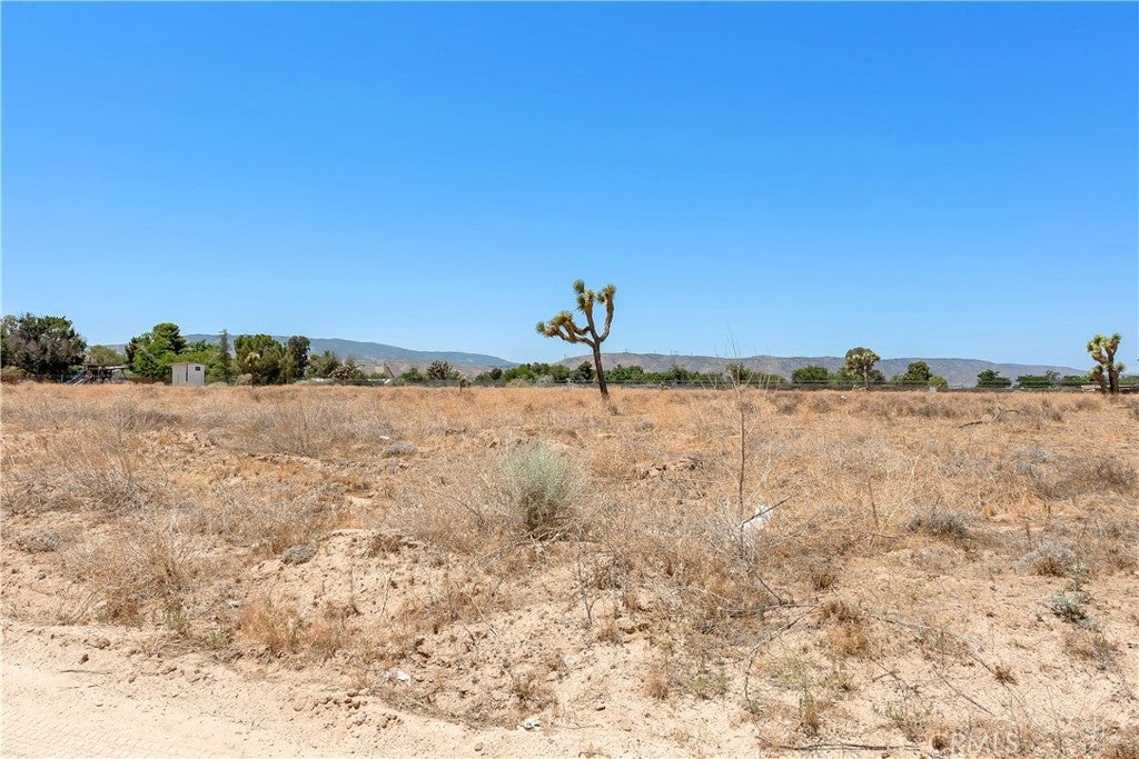 Photo of Listing #CV25131960