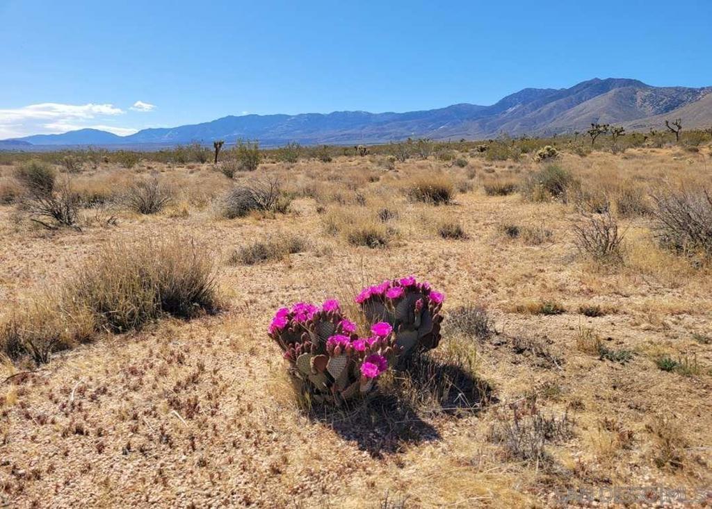 Photo of Listing #250030556SD