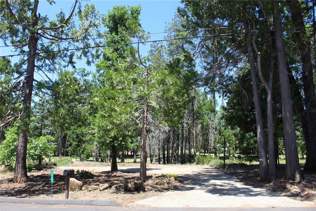 Photo of Listing #PA25134814