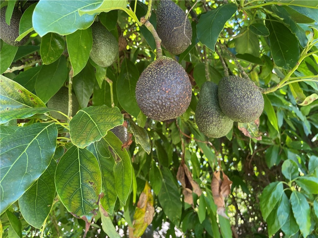 Photo of Listing #SW25136192