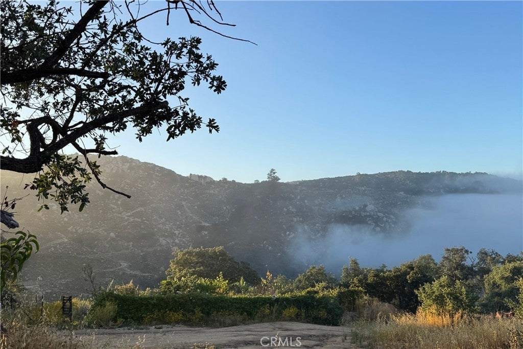 Photo of Listing #SW25124240