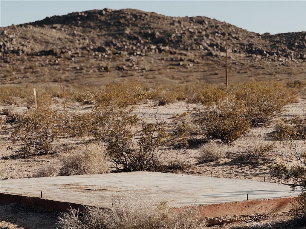 Photo of Listing #JT25138639