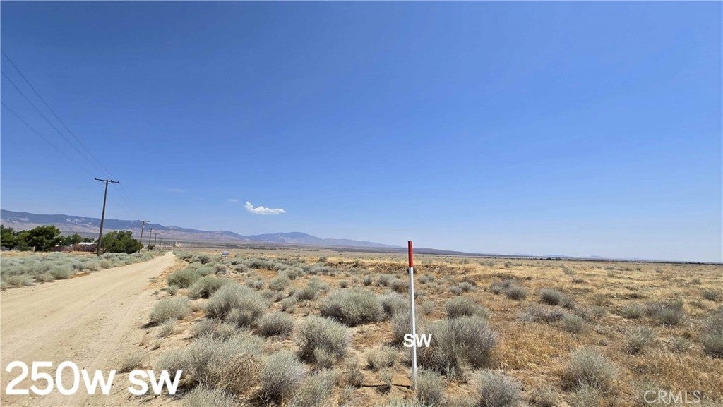 Photo of Listing #DW25139072