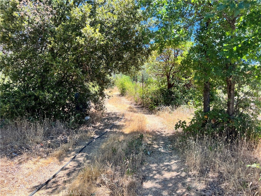 Photo of Listing #LC25140341