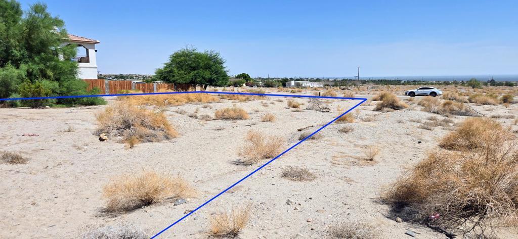 Photo of Listing #219131859DA