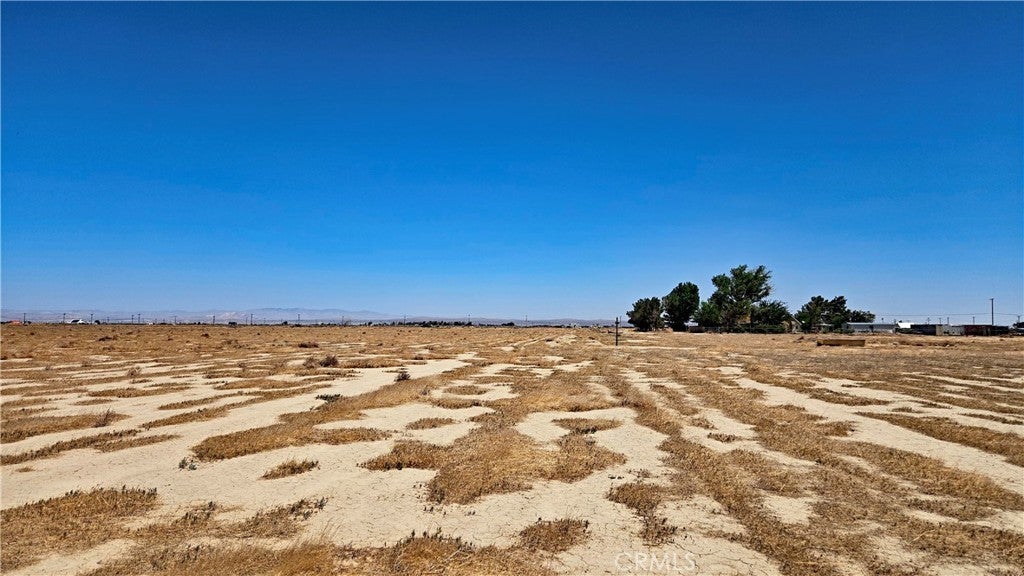 Photo of Listing #SR25142082