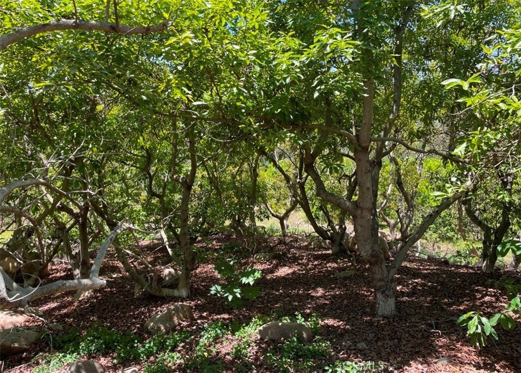 Photo of Listing #SW25142316