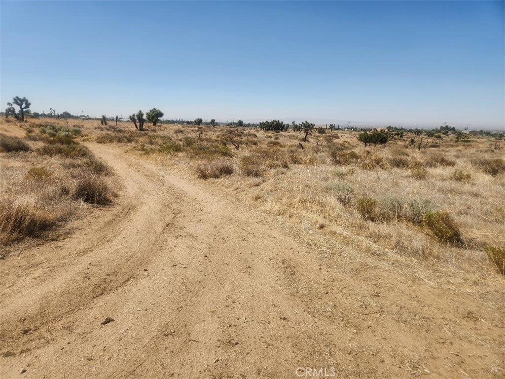 Photo of Listing #IV25139273