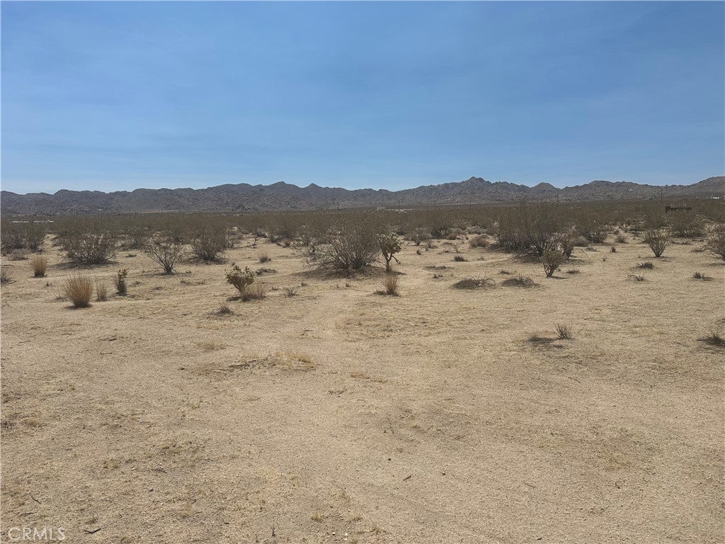 Photo of Listing #WS25144449