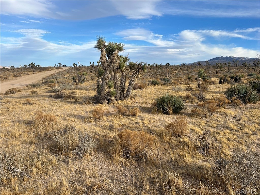 Photo of Listing #HD25148355