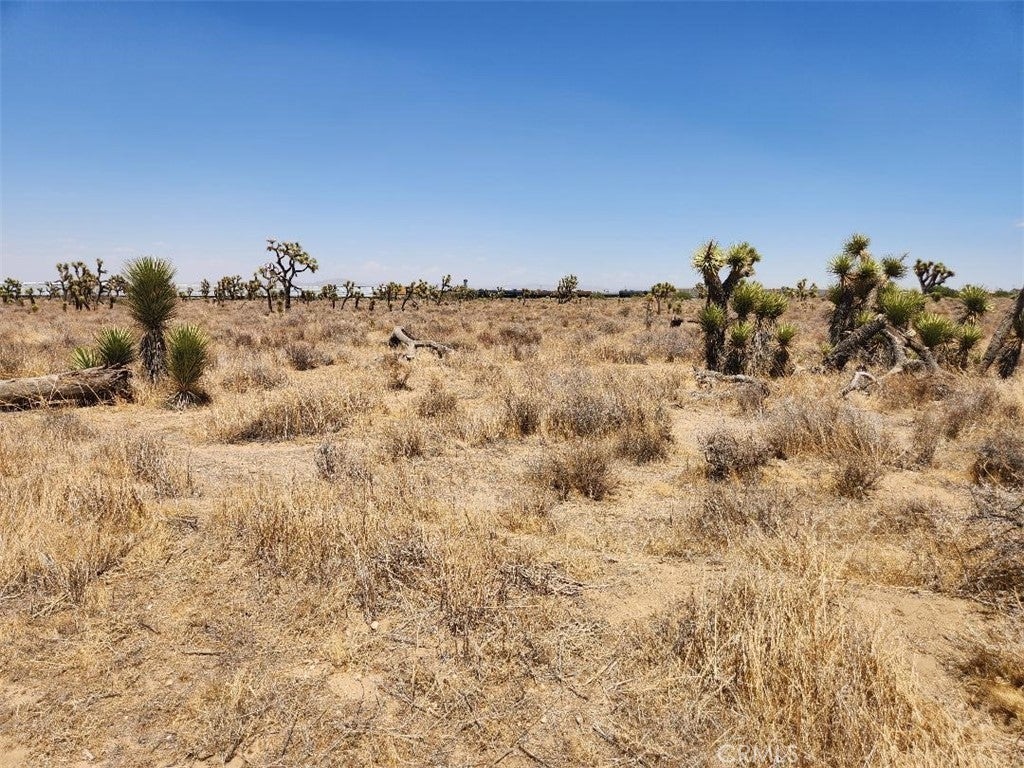 Photo of Listing #IV25149557