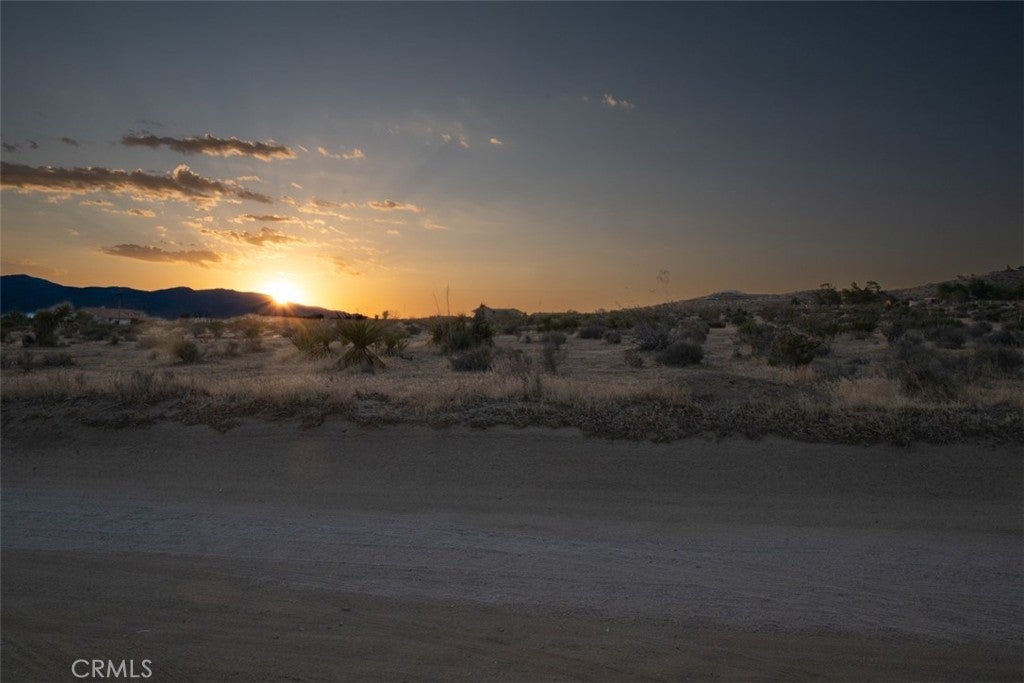 Photo of Listing #HD25149171