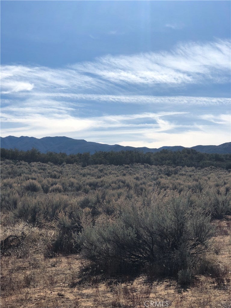 Photo of Listing #SW25151878