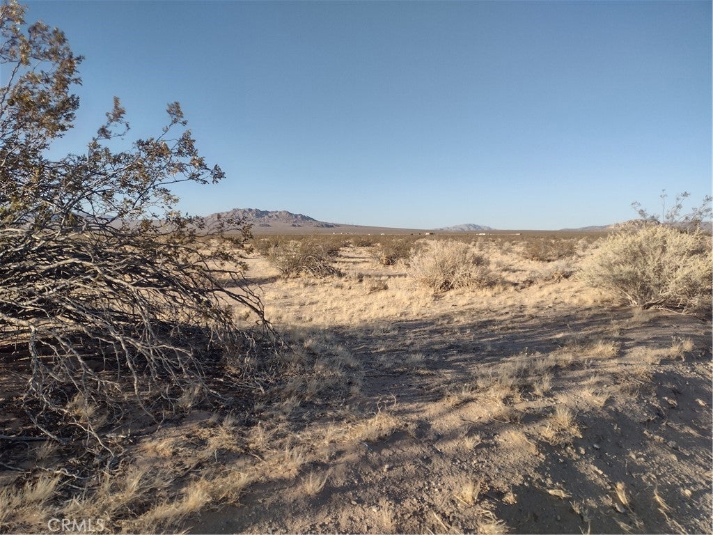 Photo of Listing #HD25151624