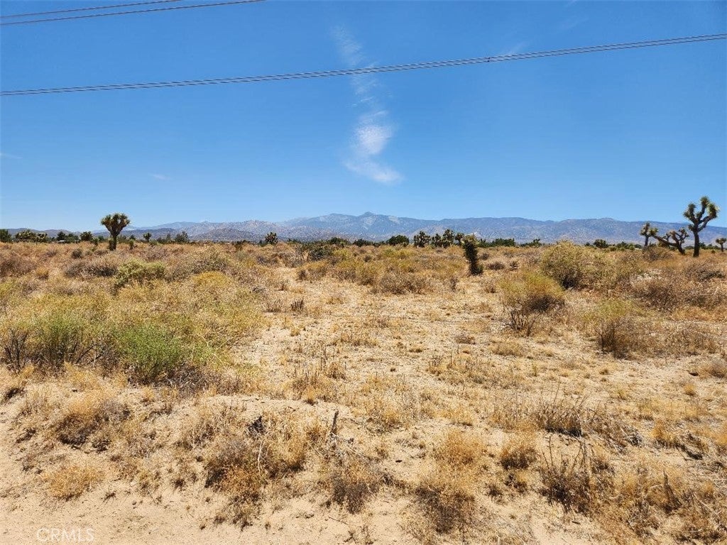 Photo of Listing #IV25153072