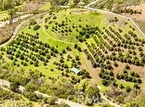 Photo of Listing #OC25153992