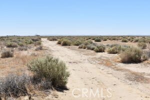 Photo of Listing #SR25156804