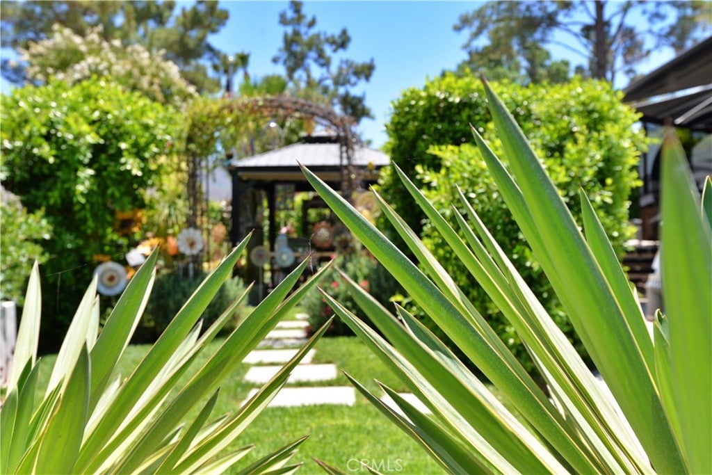 Photo of Listing #IG25159633