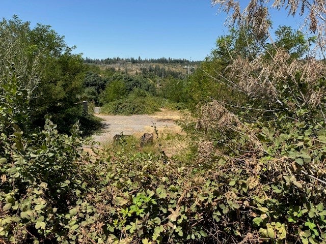 Photo of Listing #PA25164533