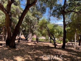 Photo of Listing #LC25167086