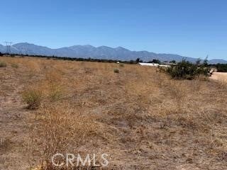 Photo of Listing #HD25169418