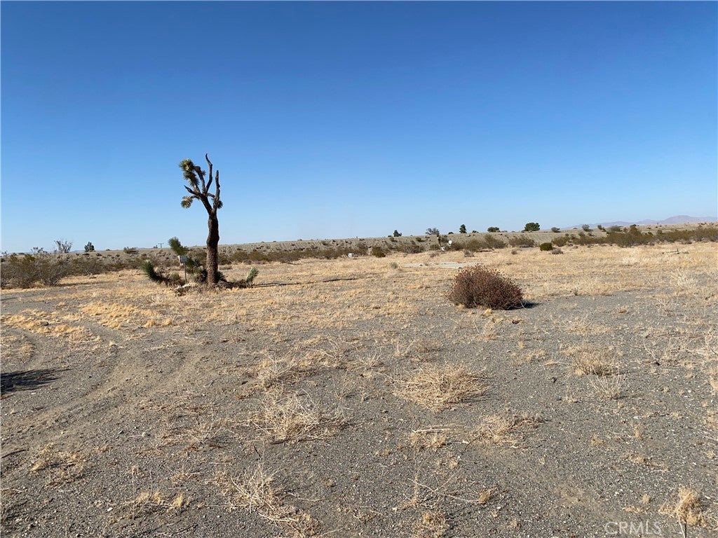 Photo of Listing #HD25170804