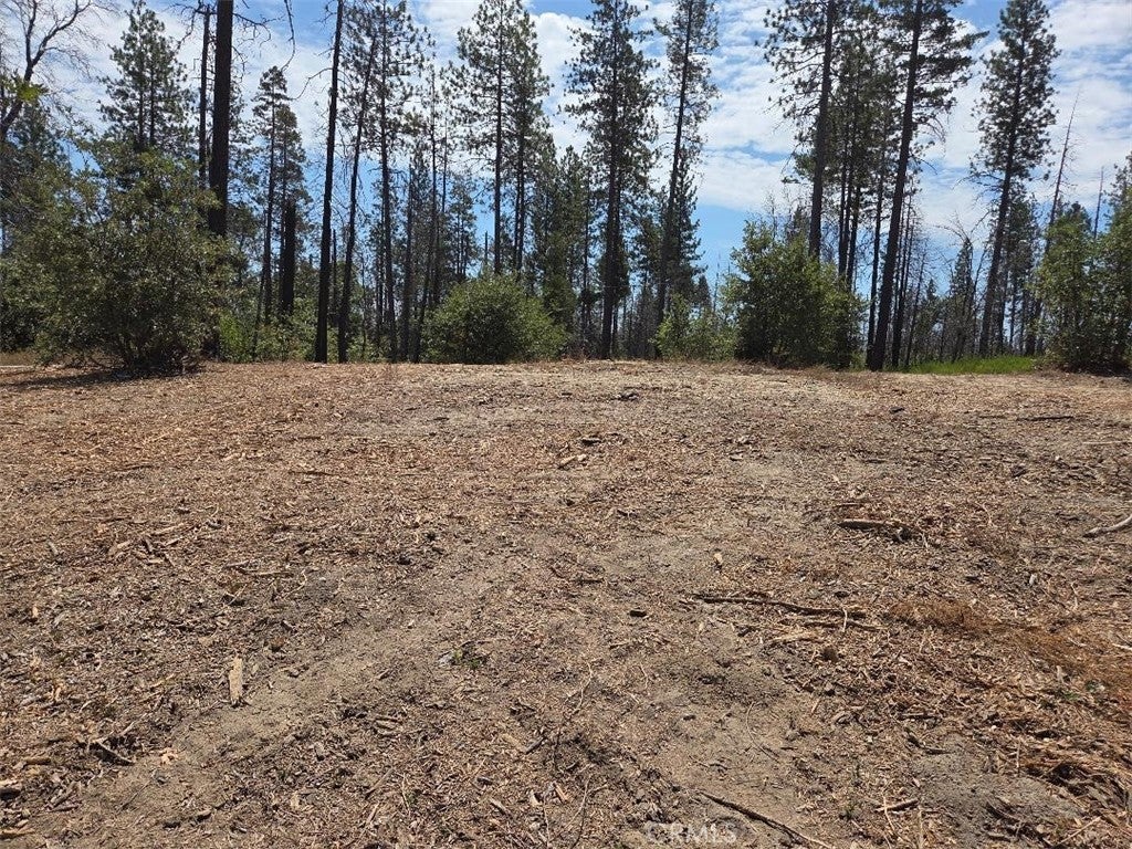 Photo of Listing #OR25168616