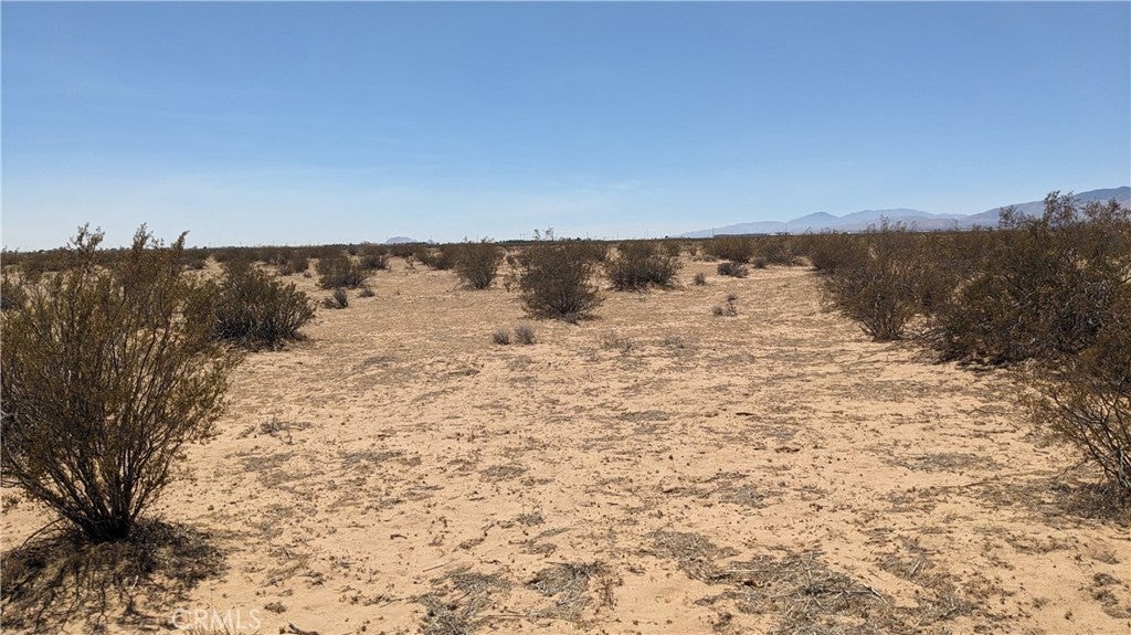 Photo of Listing #IG25175127