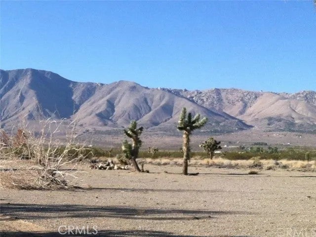 Photo of Listing #OC25178913